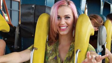 Katy Perry se diverte em montanha-russa - The Grosby Group