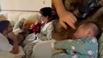 Fernanda Paes Leme mostra primeiro encontro da filha com pet da família - Reprodução/Instagram