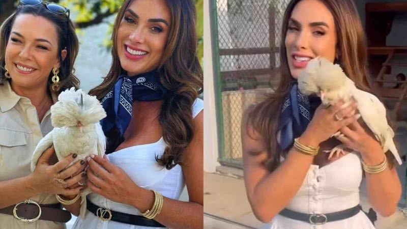 Nicole Bahls apresenta galinha para Regiane Alves - Reprodução/Instagram
